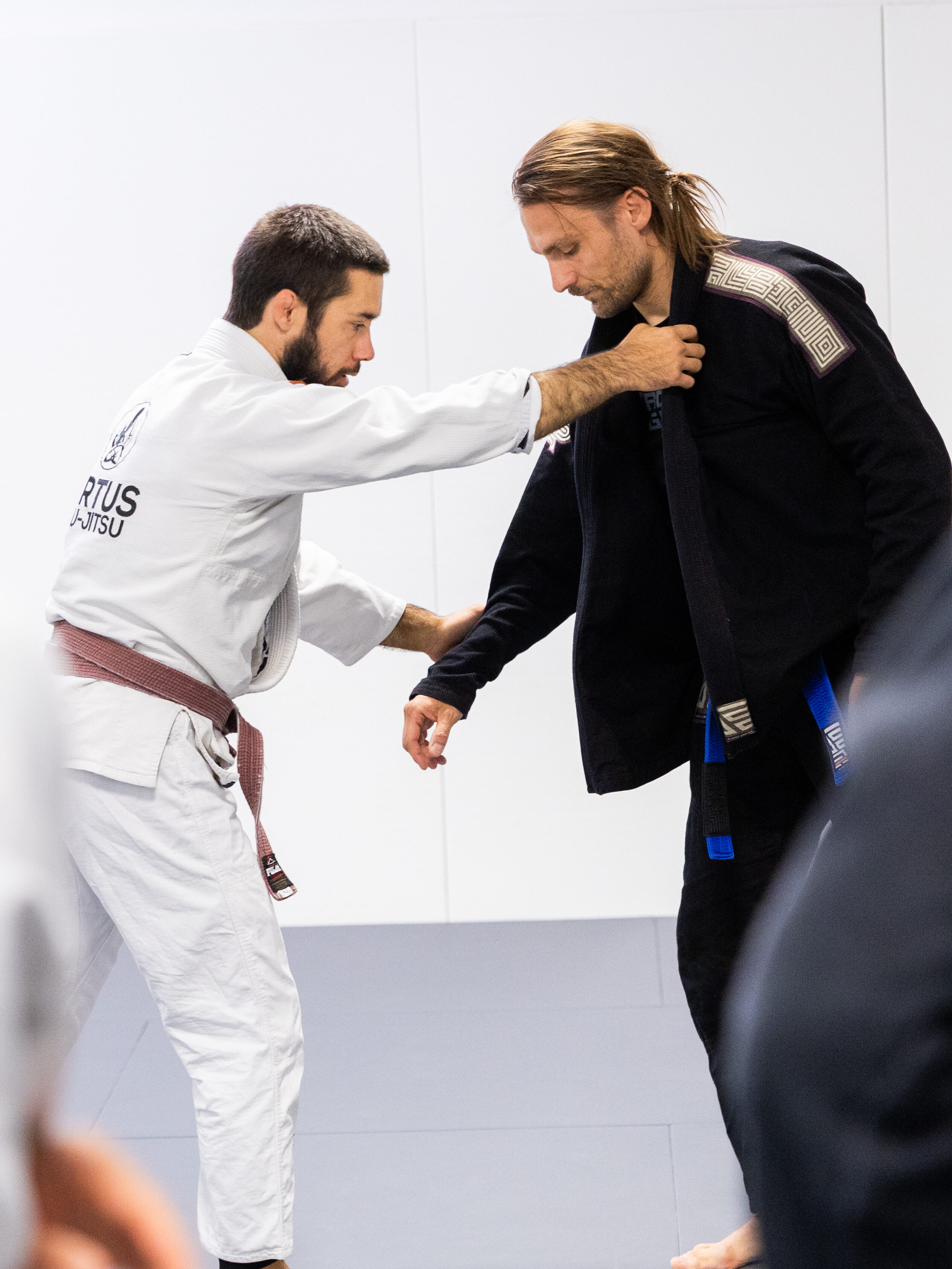 Brazilian Jiu-Jitsu in Dresden